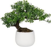 Bonsai Artificiale in Vasi Ceramici - Piantine Decorative Giapponesi per Decorazione Casa, Ufficio e Camera da Letto