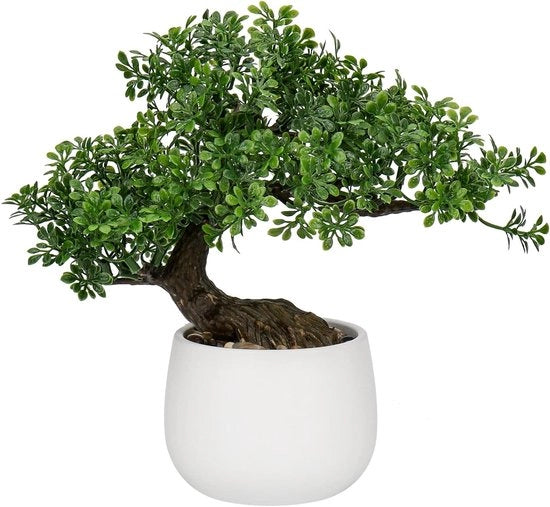 Bonsai Artificiale in Vasi Ceramici - Piantine Decorative Giapponesi per Decorazione Casa, Ufficio e Camera da Letto