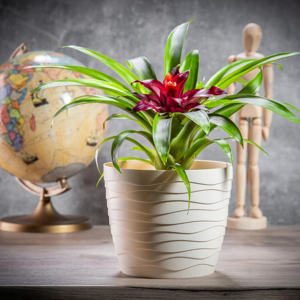 Vaso da fiori KADAX, coprivaso rotondo color crema, 19 cm, in plastica.