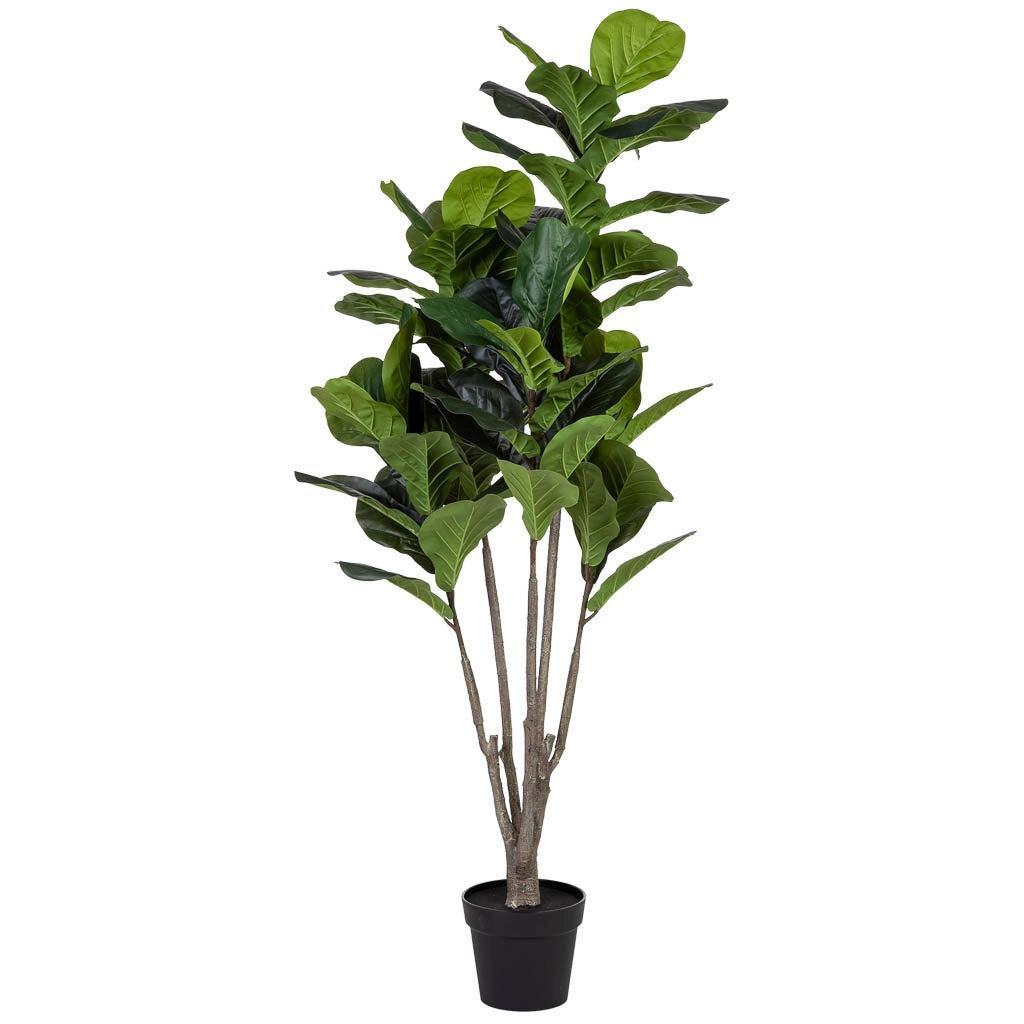 Ficus liata artificiale decorativo verde con 66 foglie verde 89x89x150