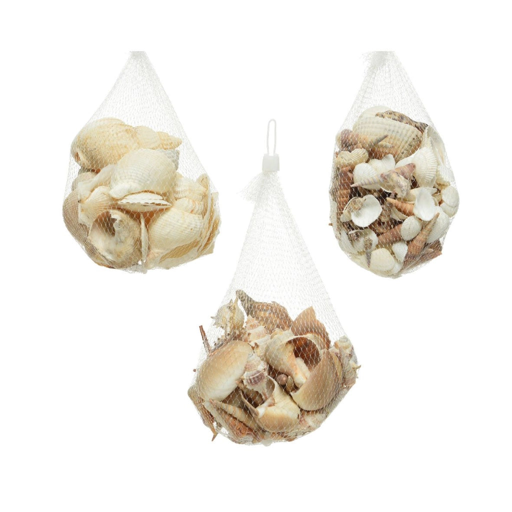 Conchiglie decorative 14x14x8 cm