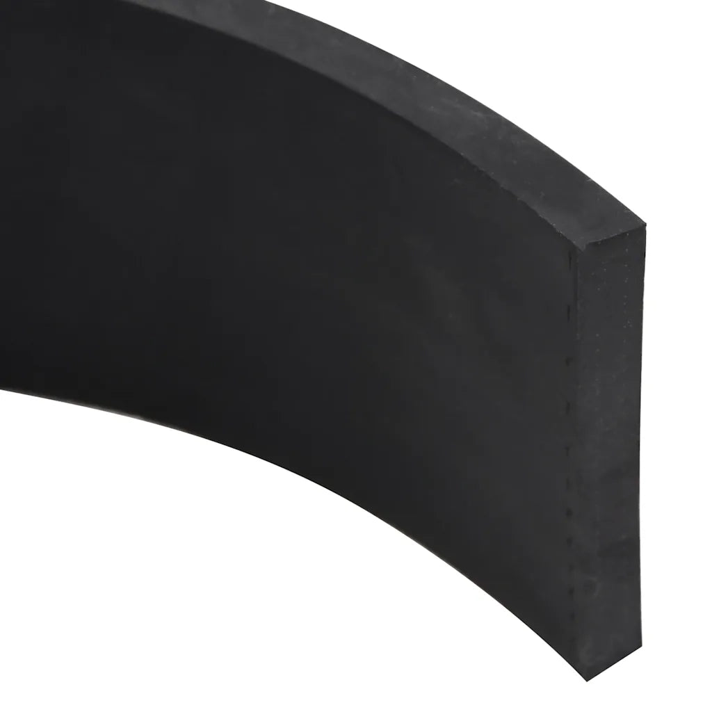 Bordo in Gomma per Spazzaneve Nero 250x8x1 cm