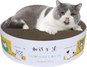 Krabbapporto Ronde per Gatti in Cartone - Giocattolo per Gatti con Krabbapporto in Cartone - Krabbapporto Duraturo per Gatti - Krabbapporto Realizzato con Materiale Riciclato - Adatto per Gatti fino a 5 kg