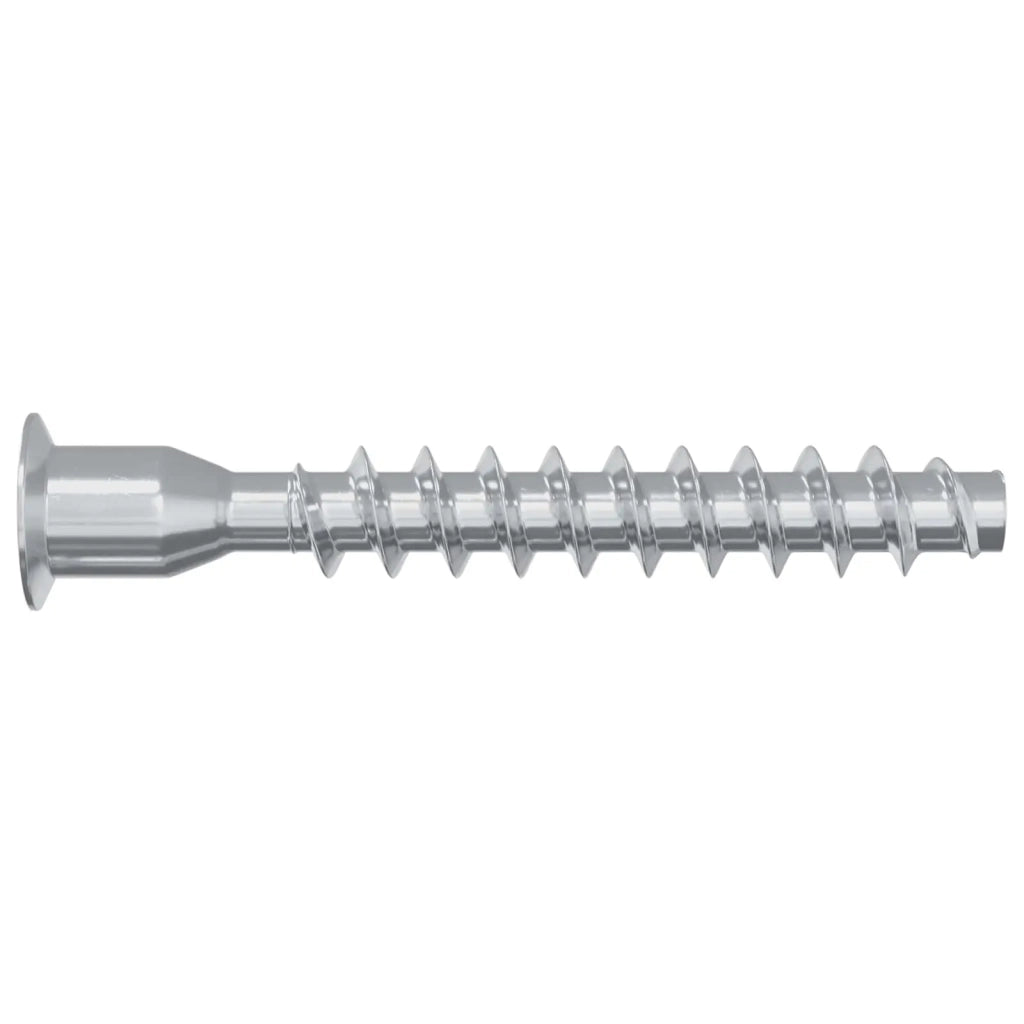 Viti confermat 12 pz Argento ?7 x 50 mm Metallo CFW7720359