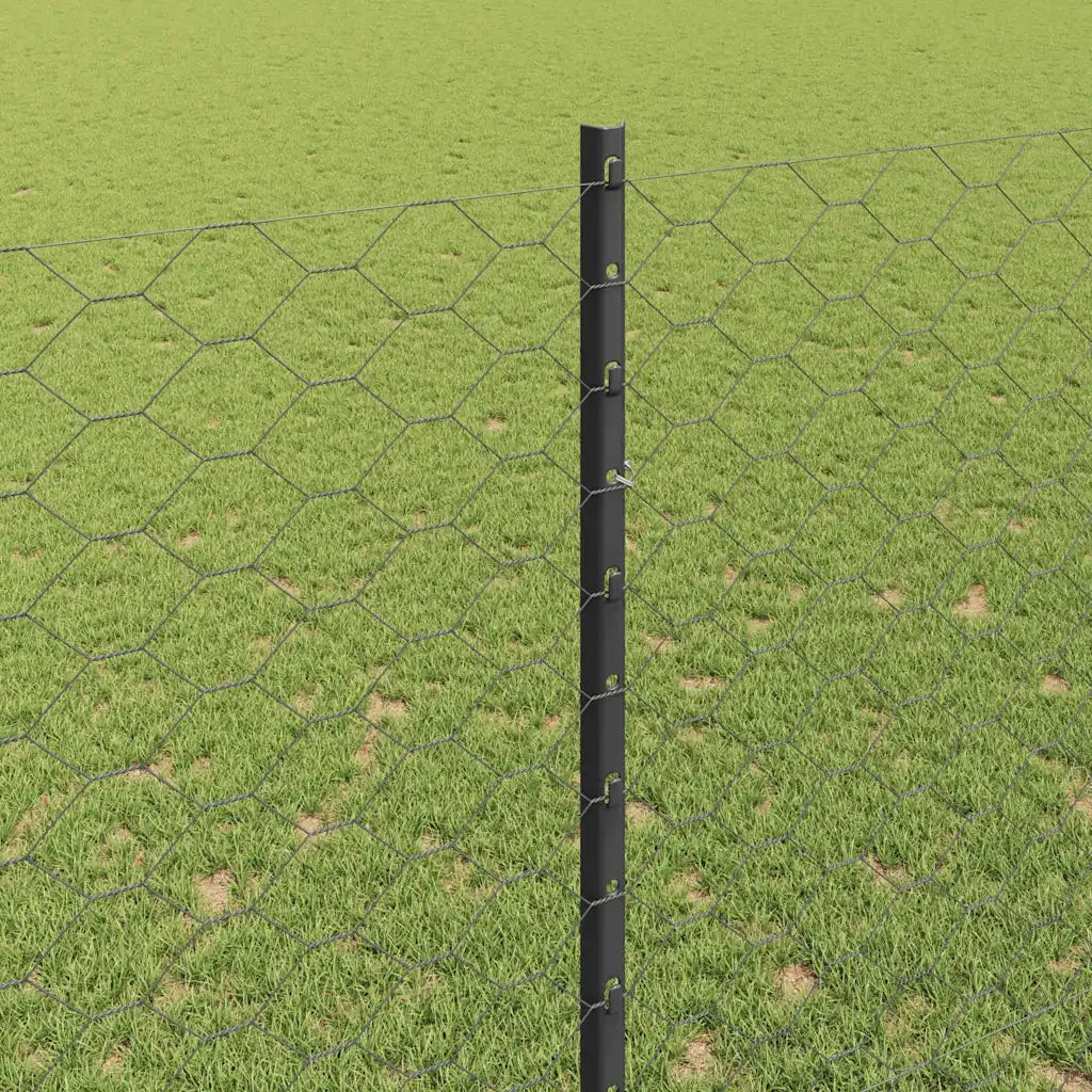 Recinzione da Giardino | Recinzione con Posto Grigio
