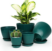 Pannelli per piante in plastica - Contenitori per piante - Cura delle piante - Con fori di drenaggio e coperchi - 6 pezzi - 19 cm - Verde scuro