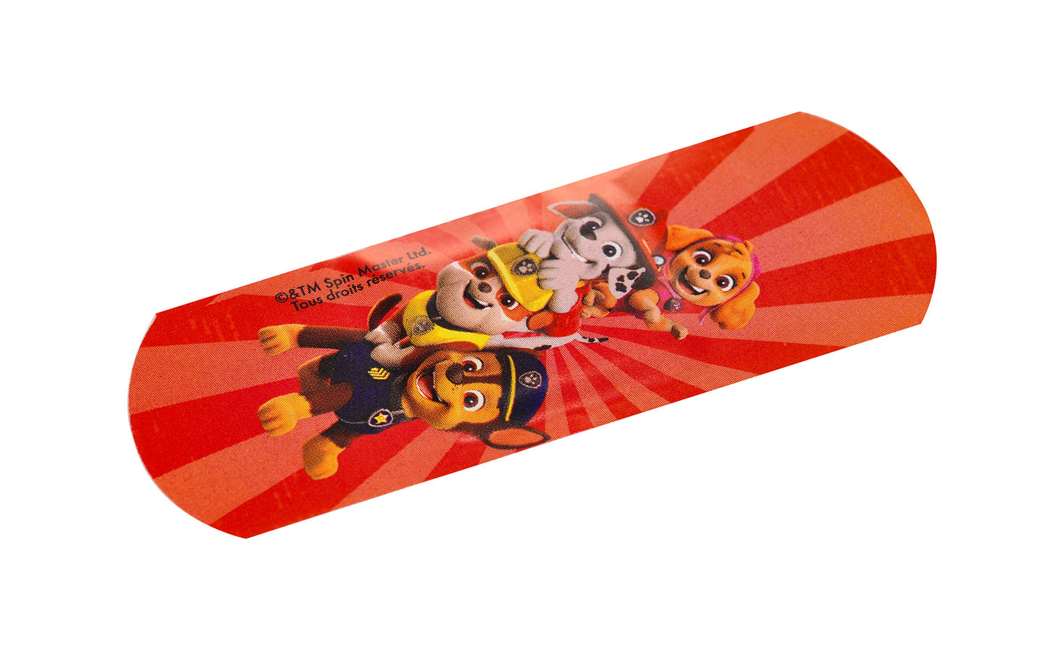 Set 12 Box per Bambini con 24 Cerotti Ciascuno 2 Misure in Metallo Paw Patrol