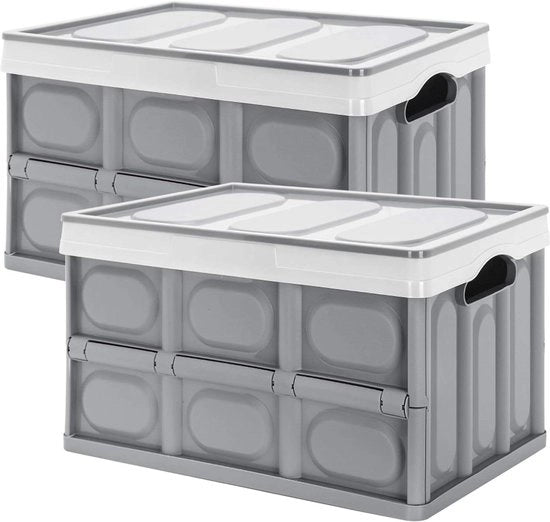 Cassa di Stoccaggio Opaca 28L con Coperchi e Maniglie - Stivabile e Spazievoluta - Grigio