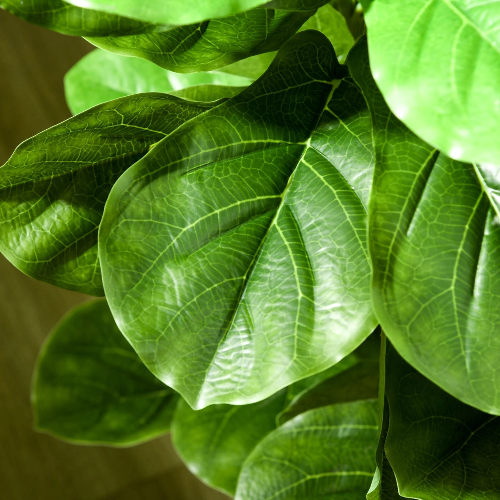 Piante Finto Ficus Lyrata 2 Pezzi ¨C Minimal ¨C Verde 180cm con Vaso