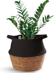 Pianta Decorativa 27 cm - Mandolina per Piante Zeppa Duratura Cotone - Con Maniglie - Cassa per Piante Interna e di Deposito - Nero