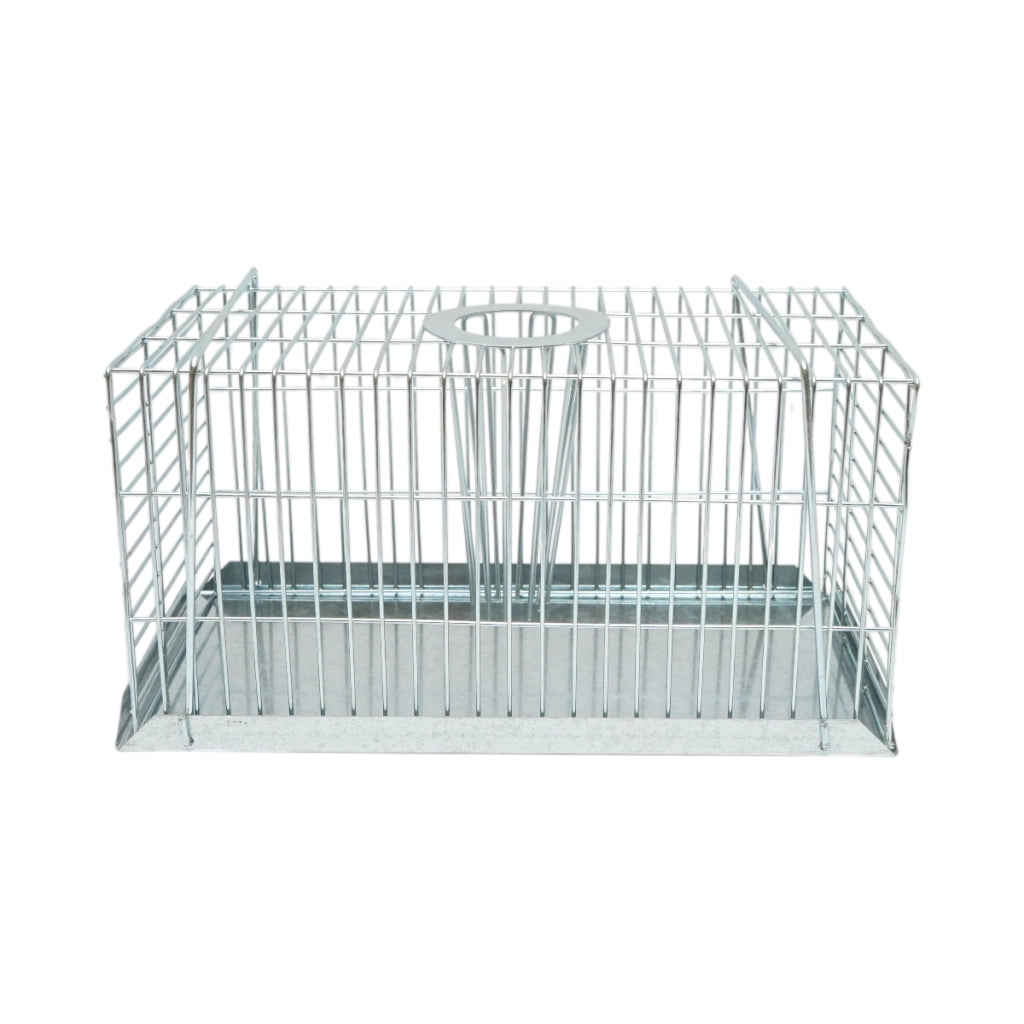 Trappola metallica a gabbia per ratti e topi, dimensioni 31x15x16,5 cm.