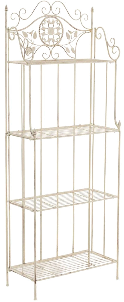 Flora standregale 4