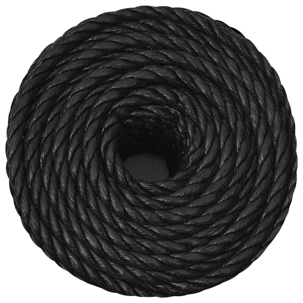 Corda | Fune da Lavoro Nera 14 mm 250 m in Polipropilene