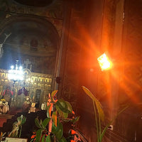 Stufa Elettrica ad Infrarossi da Parete o Soffitto 51,5x49,6x31,3 cm 6000W Moel Hathor 79304