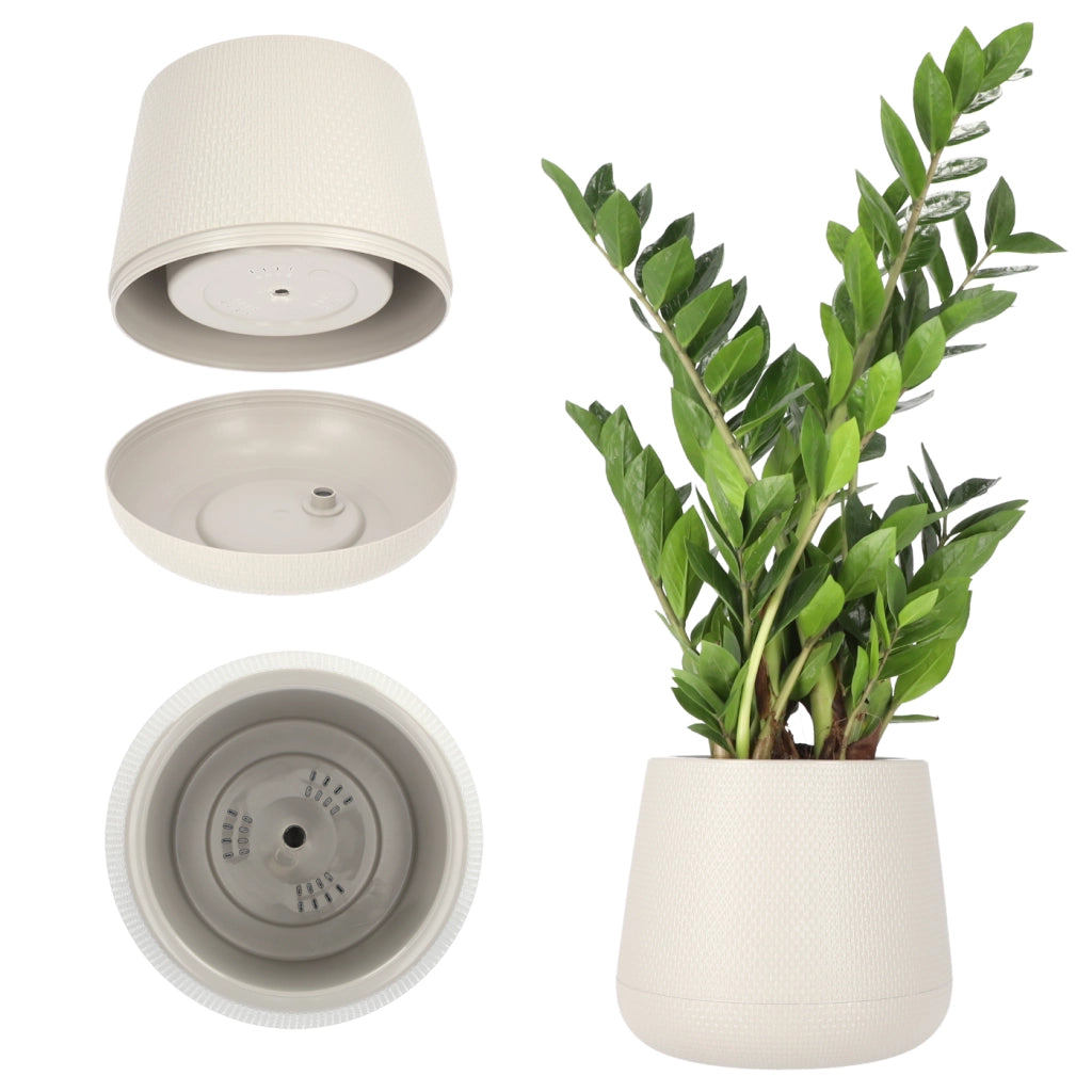 Vaso da fiori KADAX con supporto, 13 cm, coperchio in sughero, beige.