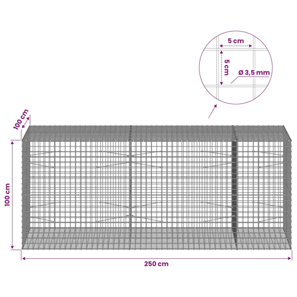 Gabion con Filo da 3,5 mm e Maglia da 5x5 cm 250x100x100 cm 3462431