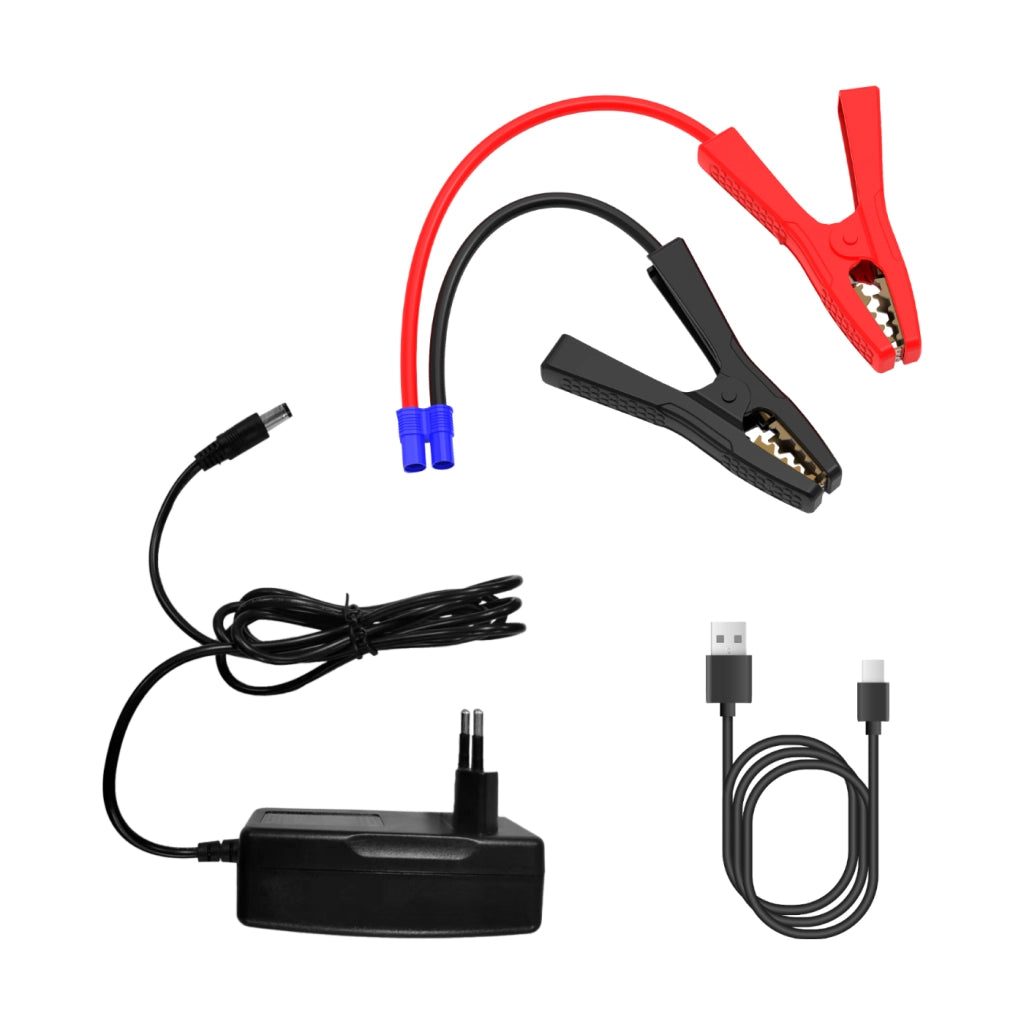 Alcapower Avviatore d'emergenza Professionale 12-24V 4000A con Power Bank 42000mAh e Torcia LED Integrata per Veicoli Pesanti e Leggeri