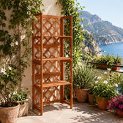 Trellis With Shelves 55x30x140 Cm Solid Fir Wood