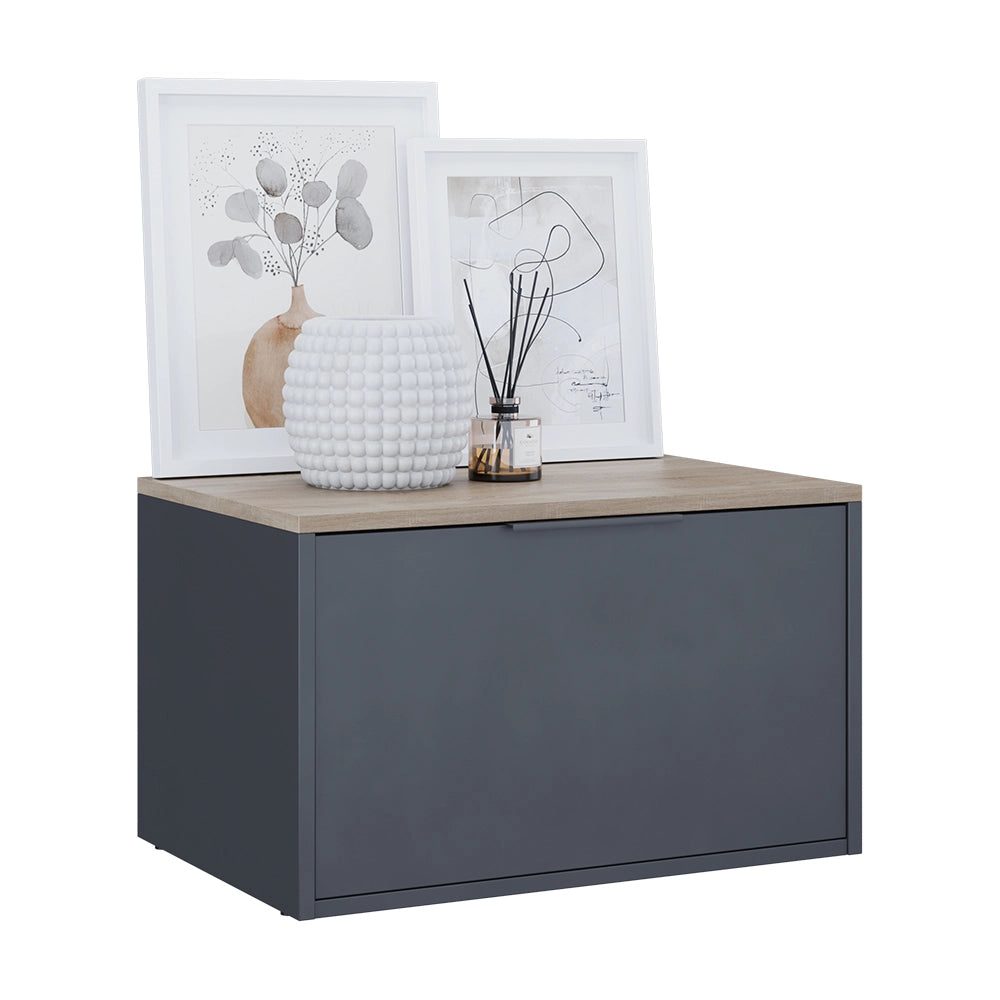 Vicco Credenza Antracite/Sonoma 60 x 36 cm con porte