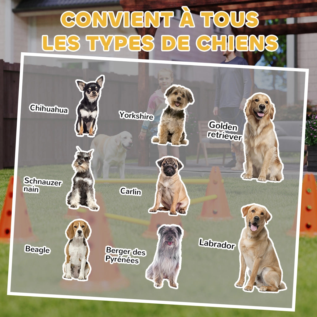 Set Agilit¨¤ per Cani 6 Pezzi con Sacchetto Trasporto ¨C zephmum ¨C Arancione