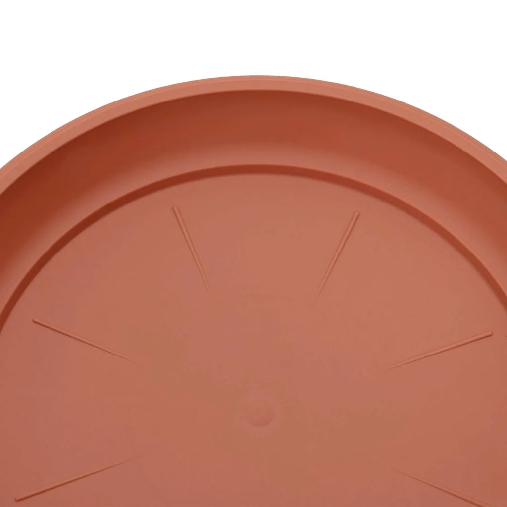 Vassoio Rotondo per Fiori 24 pz Rosso Mattone ? 27 x 2,5 cm CFW6932842