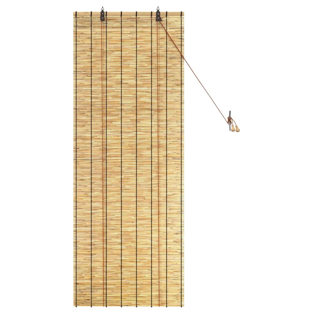 Tenda a rullo Naturale 60 x 160 cm Giunco 42034643