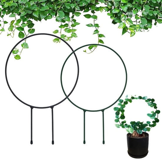 Supporti per piante di giardino - 2 pezzi di supporti per piante a forma rotonda in metallo - supporti per piante per fiori di edera e Hoya - interni ed esterni