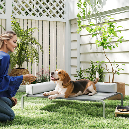 Brandina per Cani Rialzata 110x75x30 cm con Cuscino a L in Tessuto Grigio e Argento