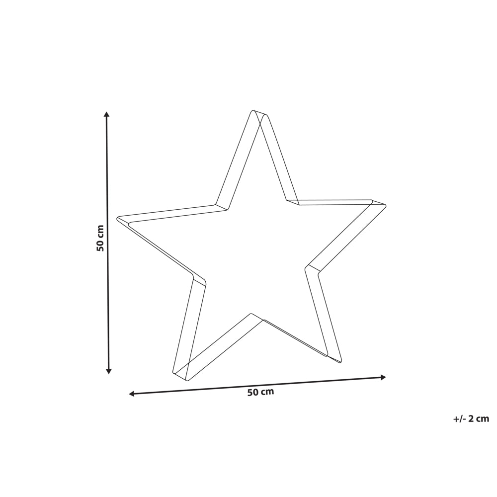 Decorazione natalizia da esterno a LED Stella 50 cm Decorazione natalizia da giardino Illuminata Argento