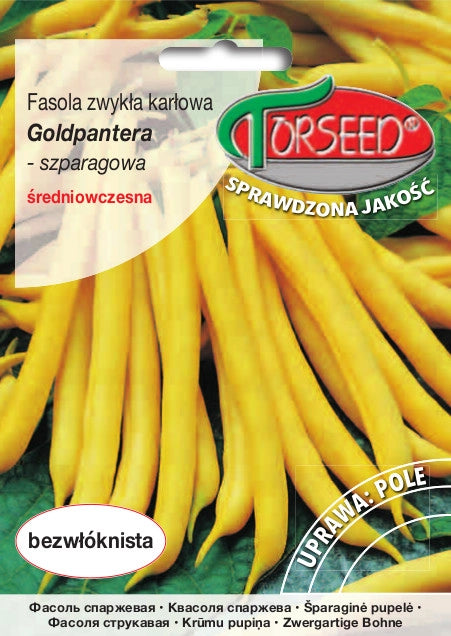 Fagiolini nani con baccello giallo Goldpantera 30g