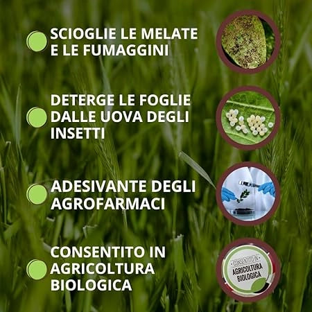 CORROBORANTE LIQUIDO SAPONE MOLLE VITHAL BIO KB - ML 250- 2 pezzi