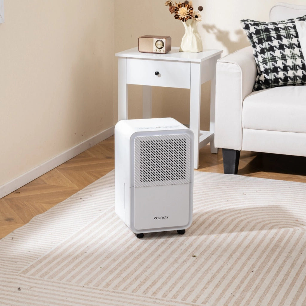Deumidificatore tubo di scarico e sbrinamento automatico per seminterrato, Deumidificatore con 4 modalit¨¤ Bianco-Condizionatori aria