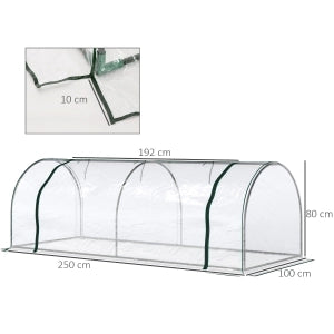 SERRA Da giardino 250x100x80 cm Plastica Trasparente