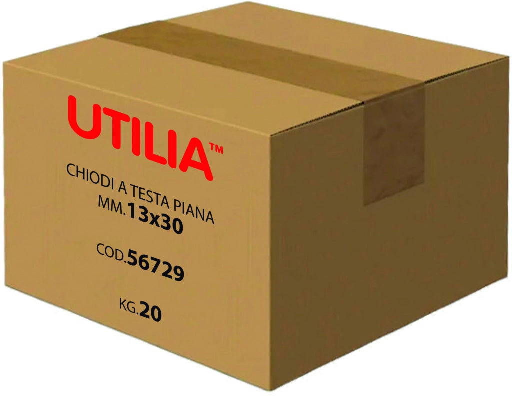 Utilia CHIODO A TESTA PIANA mis. 17x55 mm. 5.00 kg