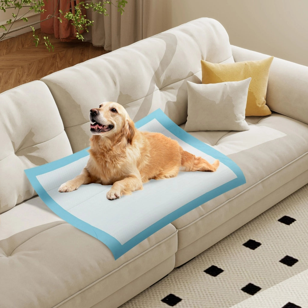 Tappetini per animali domestici a 6 strati a prova di perdite-Asciugatura rapida tappetini da interno ed esterno 90 x 90 cm Blu