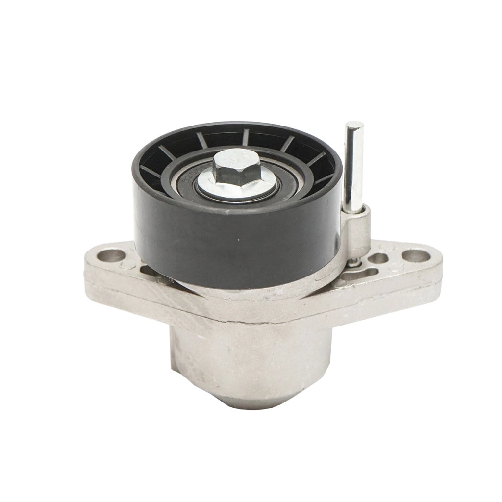 Puleggia tenditrice con molla per cinghia di trasmissione Dacia Logan benzina 8200603359