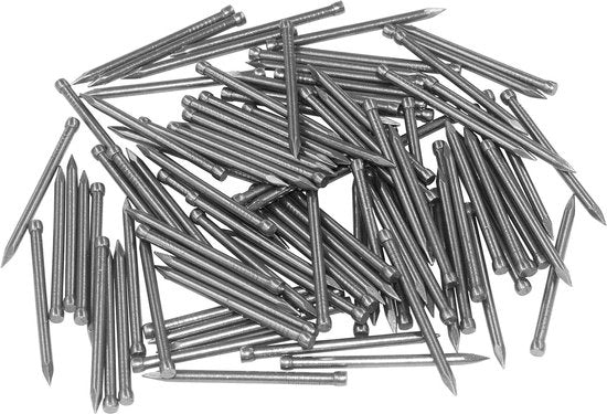 Assortimento di chiodi in acciaio inossidabile (100 pezzi), chiodi per appendere foto e lavorazione del legno, chiodi in acciaio inossidabile per piastrelle (35 mm)