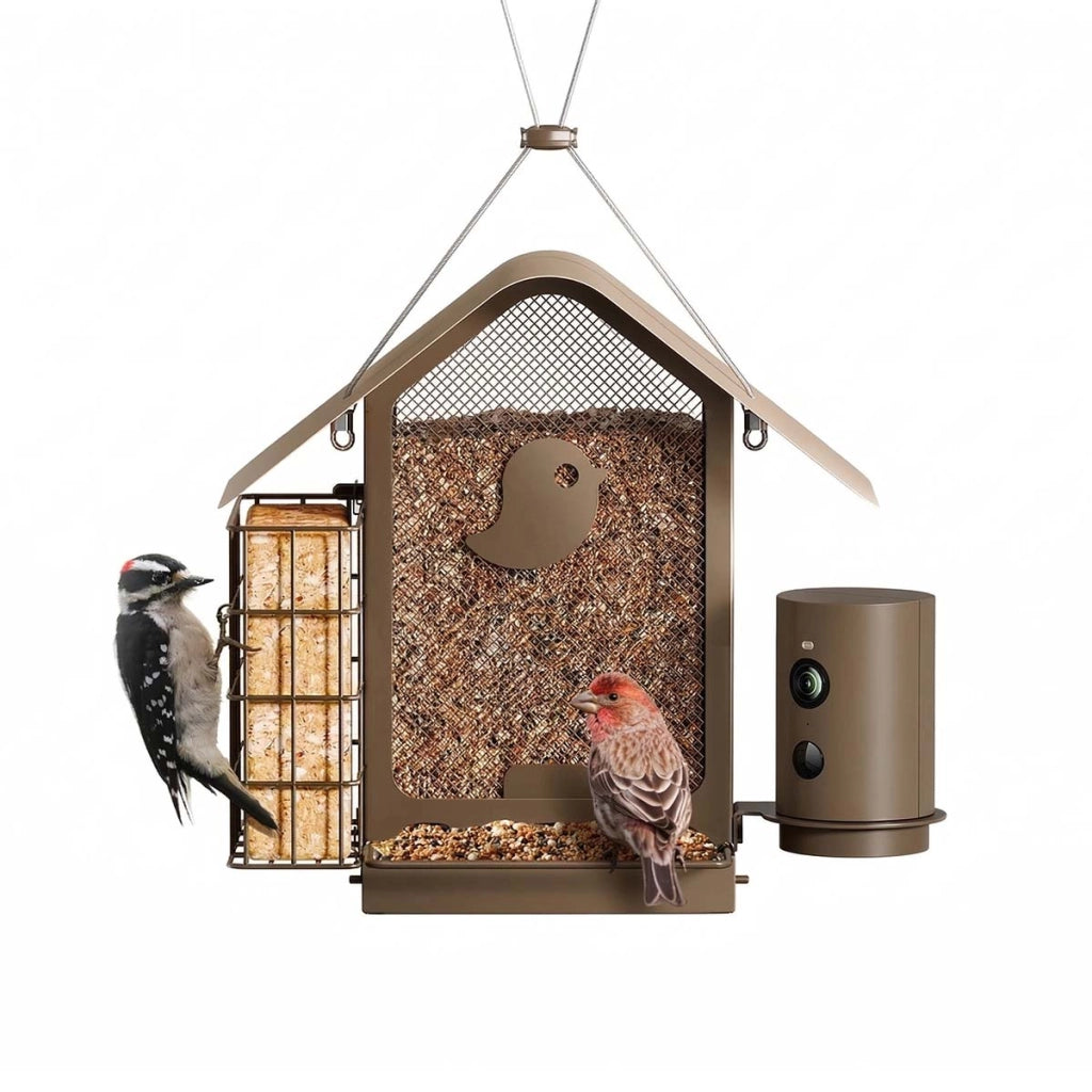Mangiatoia Connessa per Uccelli con Telecamera AI e Modulo Solare IP66 Bronzo Birdfy