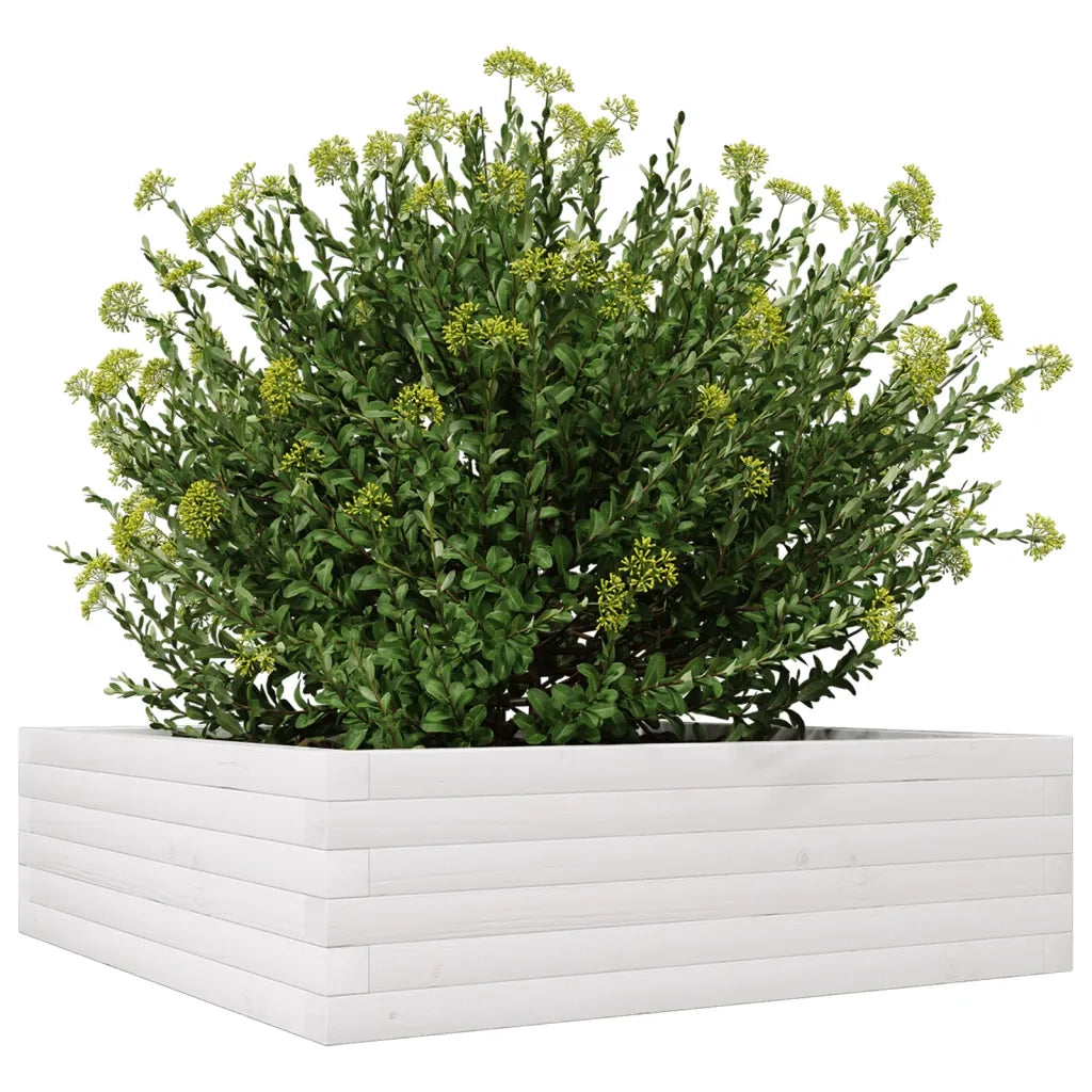 Fioriera da Giardino Bianca 80x80x23 cm Legno Massello di Pino