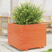 Fioriera Giardino Marrone Cera 60x60x49,5cm Legno Massello Pino 3282521