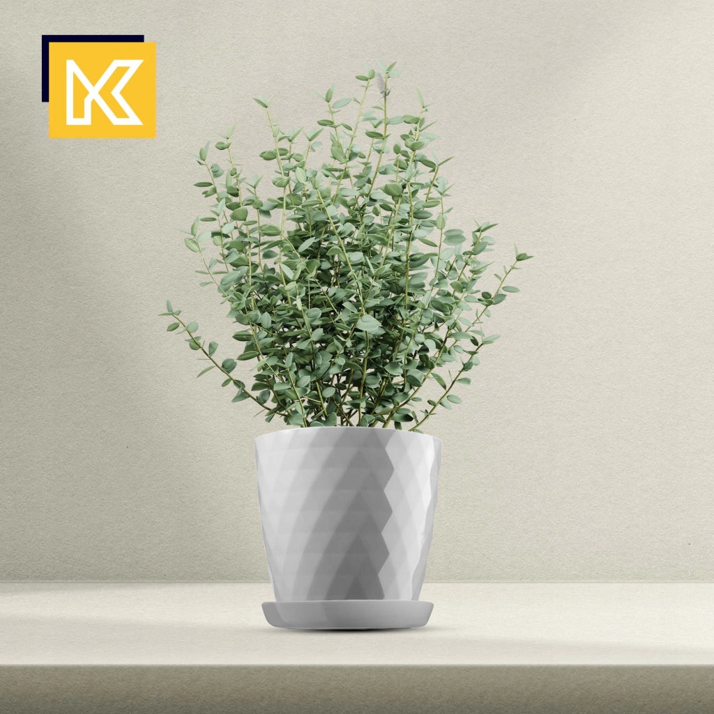 Vaso da fiori KADAX, fioriera, coperchio, 25 cm, supporto per fiori, plastica grigia, 3 pezzi.