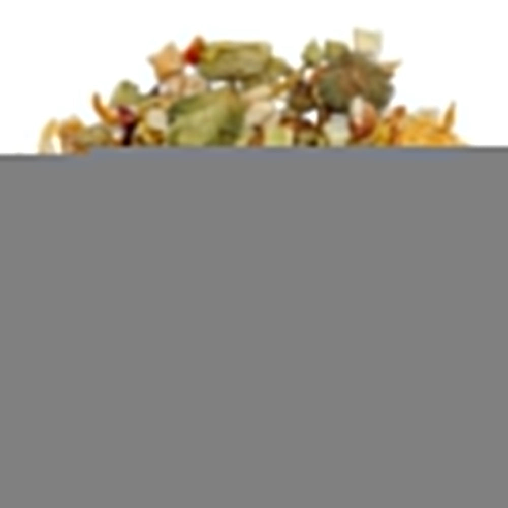 Lucky Reptile Bearded Dragon Mix Adult - mangime base per Draghi Barbuti adulti Formato: 70 gr