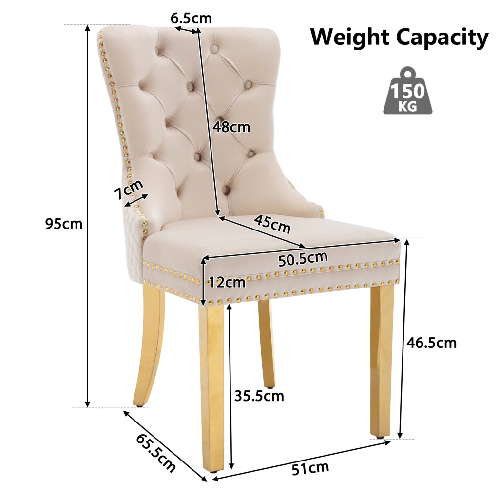 Set di 6 Sedie da Pranzo; con Anello sullo Schienale e Borchie Decorative; Velluto; Beige