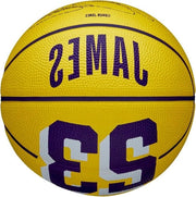 Icona di Giocatore NBA Esterno Pallacanestro - Misura 7-29.5" e Mini Misura - Resistente a tutte le condizioni meteorologiche Anello Pallacanestro