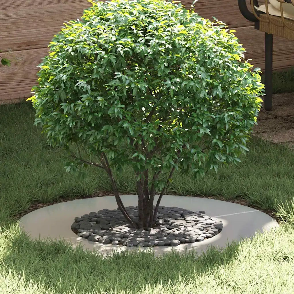 adatto per Anello d'Albero Piatto Argento ?40 / 70 cm CFW2746236