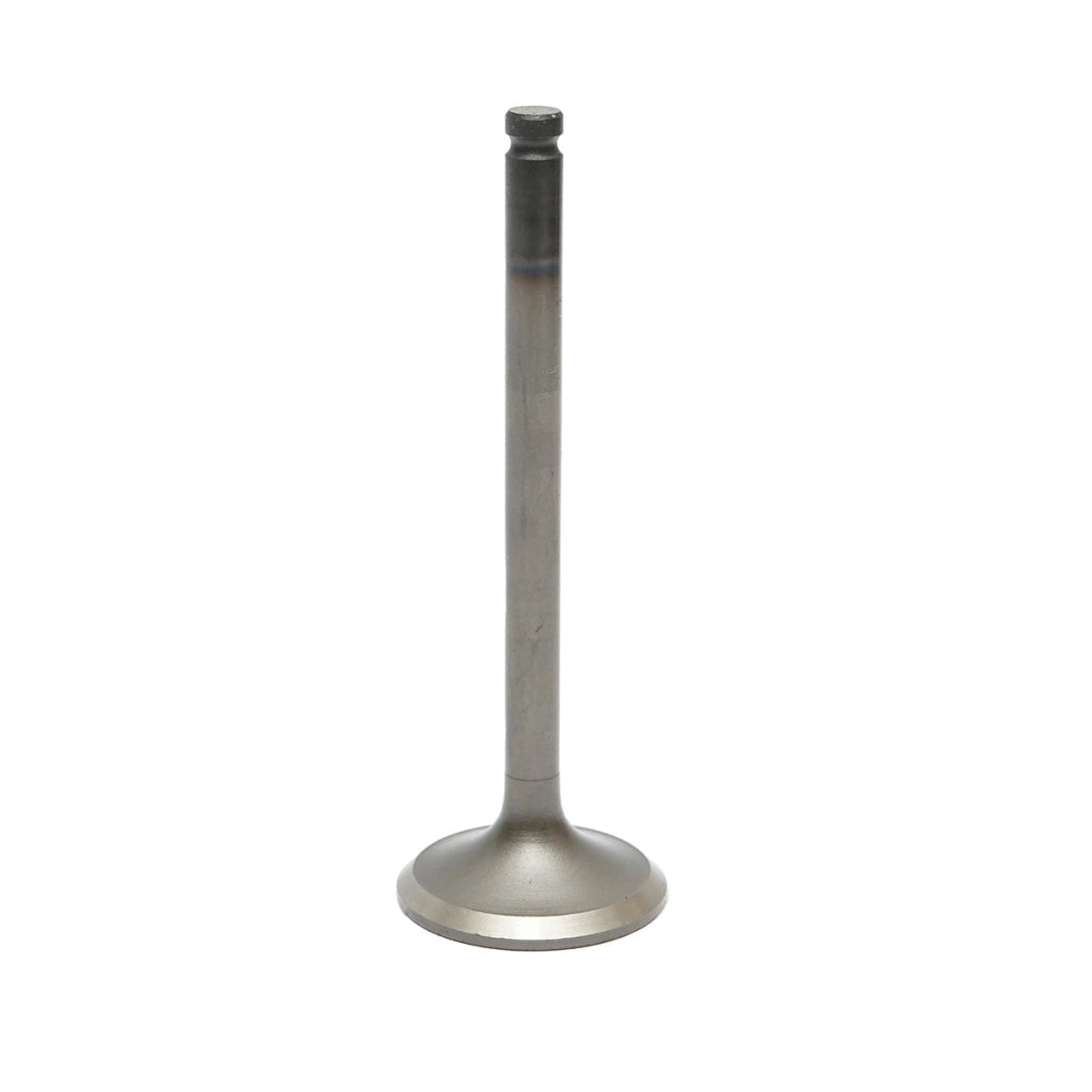 Valvola di aspirazione Massey Ferguson codice OEM 731151M1