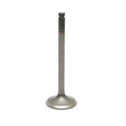 Valvola di aspirazione Massey Ferguson codice OEM 731151M1