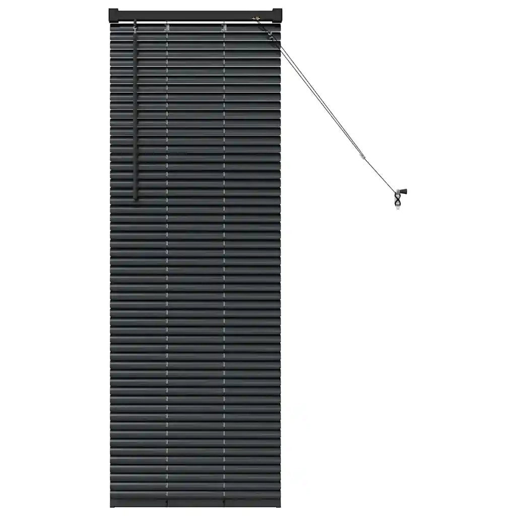 Tendaggi a Veneziana | Tenda a lamelle Nero 130 x 50 cm Alluminio