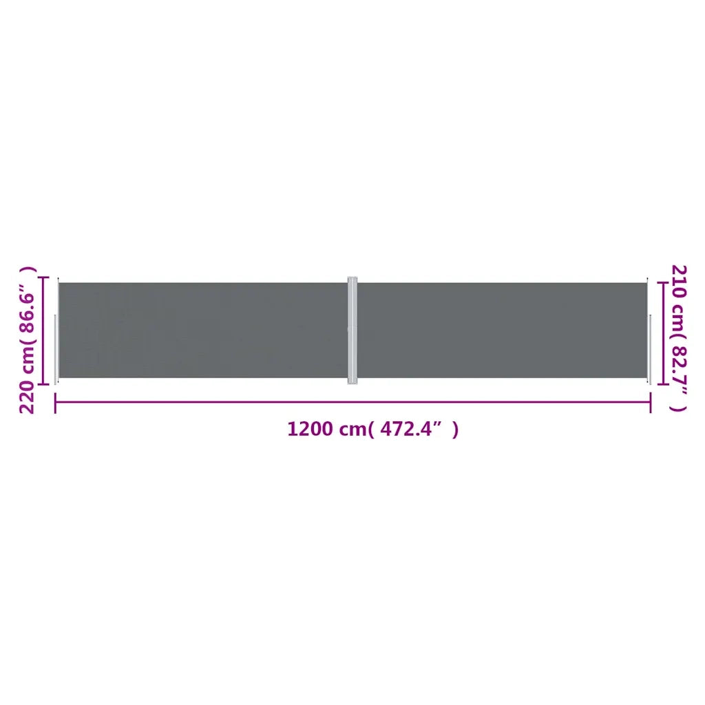 Tenda da Sole Laterale Retrattile Antracite 220x1200 cm 318086