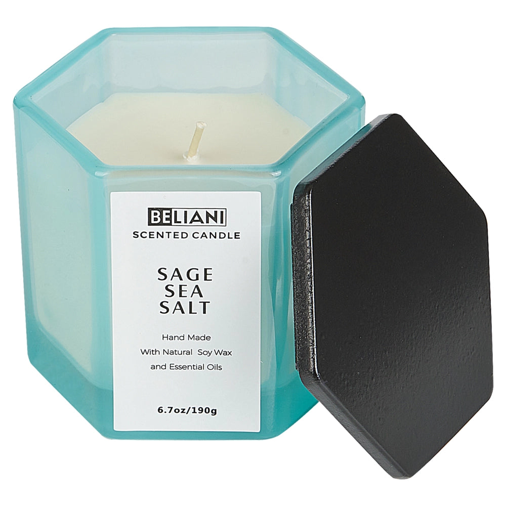 Set candela profumata in cera di soia 100% e diffusore con bastoncini, stoppino di cotone, vetro profumo fresco sale marino di salvia
